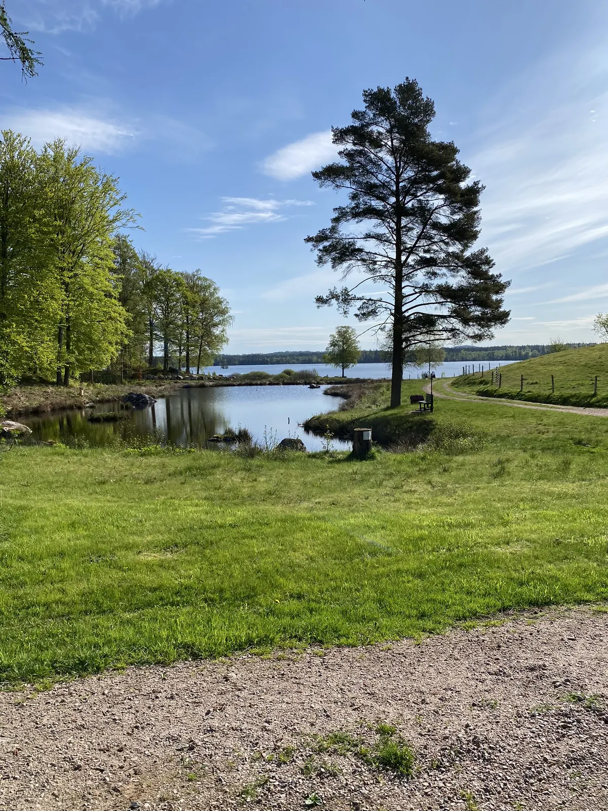 Dammen i Joarsbo 