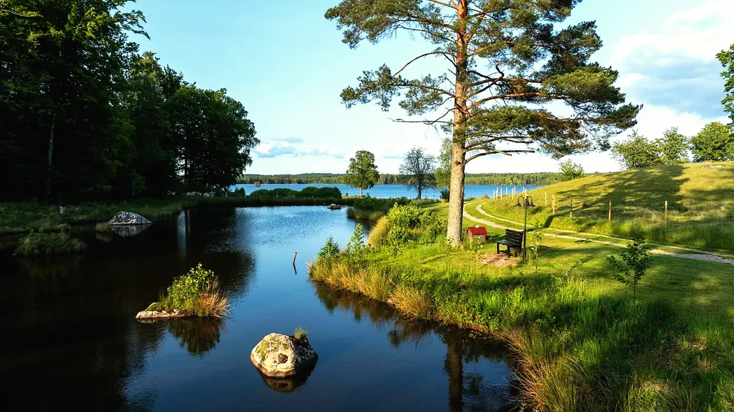 Joarsbos fina våtmark - Joarsbo Gård