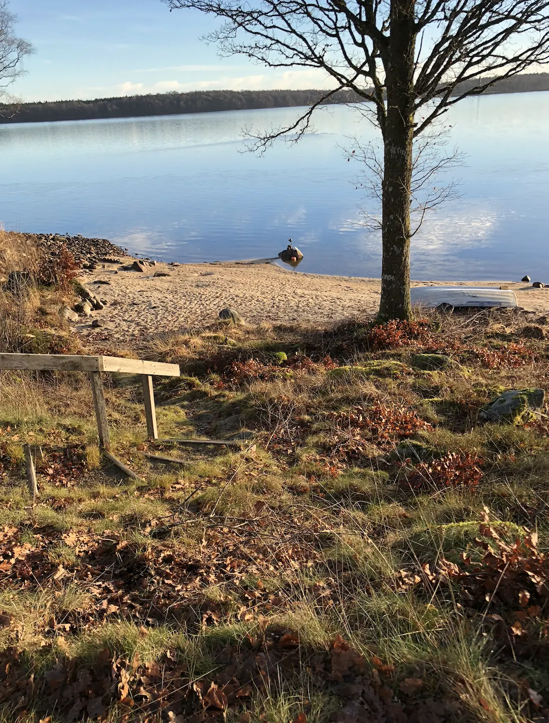 Sjölyckans strand - Joarsbo Gård 