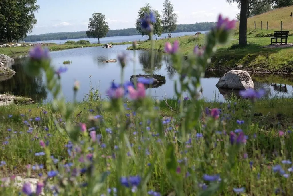 Joarsbo Gård - Dammen