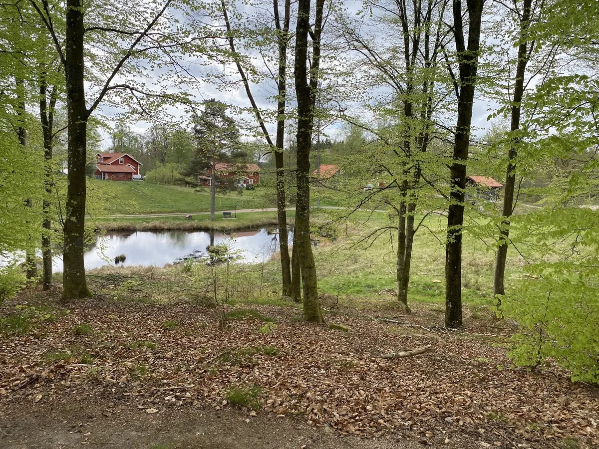Vy över Joarsbo och dammen