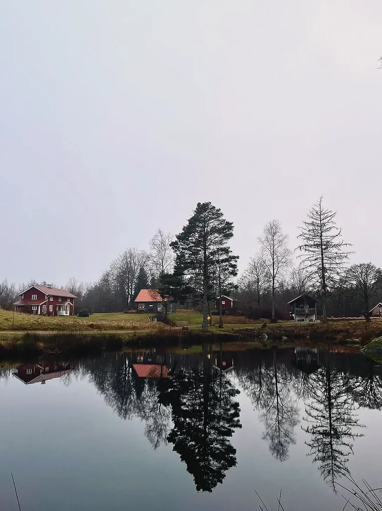 Vy över gården