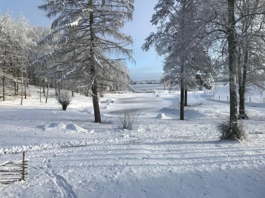 Joarsbo i vinterskrud 